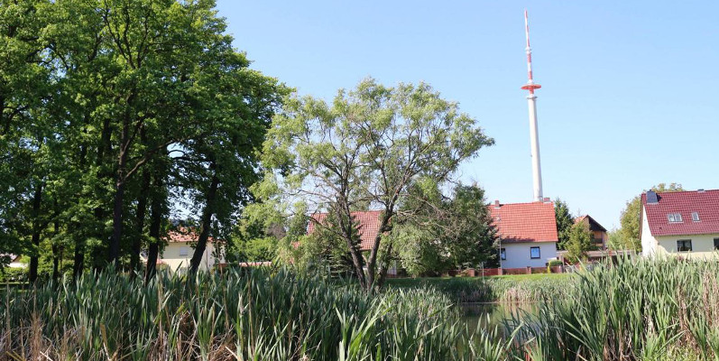 Calau: Der Springteich