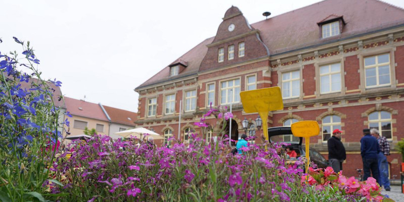 Calau: Markttreiben vor dem Calauer Rathaus