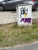 Foto: Beschmierter Stromkasten 