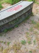 Foto:  