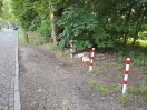 Foto: Bauabfall und Laub 