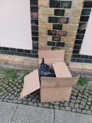 Foto: Autoteile im Karton 