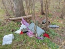 Foto: Bredower Forst Sperrmüll  