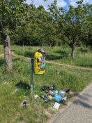 Foto: Mülleimer quillt über 