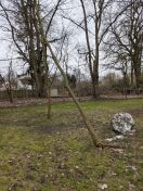Foto: (fast) Umgefallener Baum 