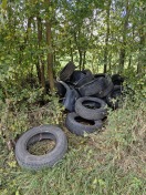 Foto: Illegale Müllentsorgung 