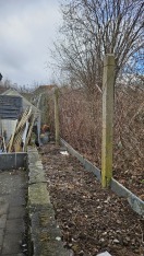Foto: Wildwuchs zur Kleingartenanlage Gartenfreude 