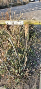 Foto: Wegbegrenzer gebrochen 