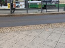 Foto: Glasscherben  