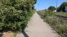 Foto: Magdeburger Landstraße - Geh und Radwegflächen zugewachsen wiederkehrend  