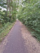Foto: Radweg am Kanal zugewachsen  