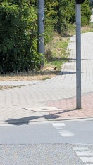 Foto: Toter Fuchs Zentrumring Ecke Neuendorfer Straße  