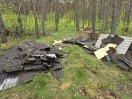 Foto: Müll im Wald 