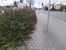 Foto: Fußweg  