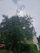 Foto: Hagelberger Straße  