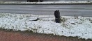 Foto: Zentrum Ring diverse Schilder umgestürzt z.b. Höhe Einfahrt Hochschule  