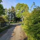 Foto: Verdecketes Verkehrsschild und fehlender Spiegel 