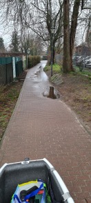 Foto: See Landschaft am evtl. Gymnasium  