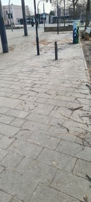 Foto: Nach Fällarbeiten bitte Gehwegsbereich reinigen  