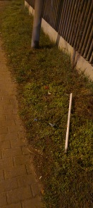 Foto: Leuchtstofflampen im Straßengraben Ecke Zanderstraße Schallschutzwand  