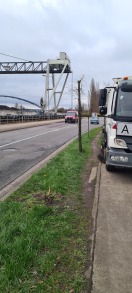 Foto: Bäume extrem schadhaft bzw. Fehlende parallel mebra halle 