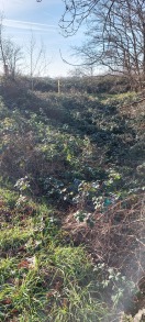 Foto: Einkaufswagen neben Fußweg 