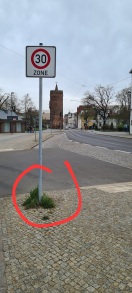 Foto: Hunde Kot Insel oder Osterhasen-Eierversteck? 