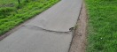 Foto: Rad und Gehwegsbereich stark beschäftigt Höhe Haltestelle Wilhelmsdorfer Landstraße  