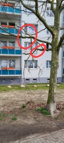 Foto: Nach Monaten der Bautätigkeit Bäume weiterhin schadhaft durch Kraneinsatz  