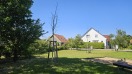 Foto: Tote Bäume  