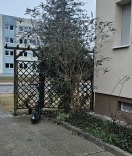 Foto: E-Roller 