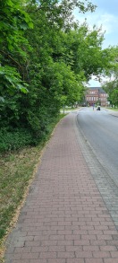 Foto: Lichtraumprofil Ecke Thüringer Straße prüfen und nachbessern  