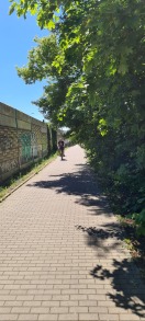 Foto: Lichtraumprofil unzureichend gepflegt parallel B102 Rathenower Landstraße Höhe Haltestelle Werkhof vbbr 
