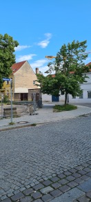 Foto: Ecke Hammerstraße Lichtraumprofil Beräumung nötig  