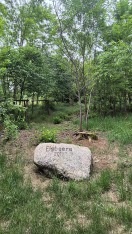 Foto: Baum des Jahres 2011 