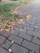 Foto: Radweg  