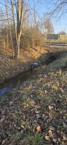 Foto: Einkaufswagen im Graben 