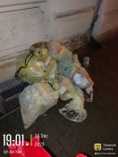 Foto: Gelbe Säcke liegen gelassen 