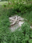 Foto: Wilde Deponie 