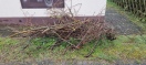 Foto: Müllentsorgung 