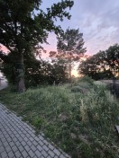 Foto: Unvollständiger Grünschnitt 