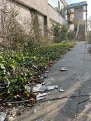 Foto: Gebäude am Tschirchdamm 