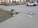 Foto: Abfalleimer wieder von Vögeln ausgeräumt.  