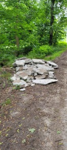 Foto: Steinplatten Grünschnitt 