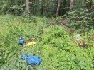 Foto: Illegale Müllentsorgung 