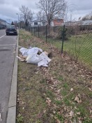 Foto: Vermüllter Grünstreifen 