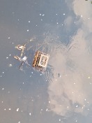 Foto: Einkaufswagen in Spree 