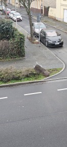 Foto: Sperrmüll Ecke Hubertrasse / Annenstrasse  