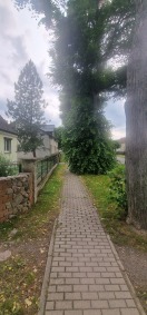 Foto: Gehweg kaum nutzbar 