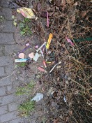 Foto: Rutschiges Laub und Müll 